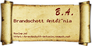 Brandschott Antónia névjegykártya